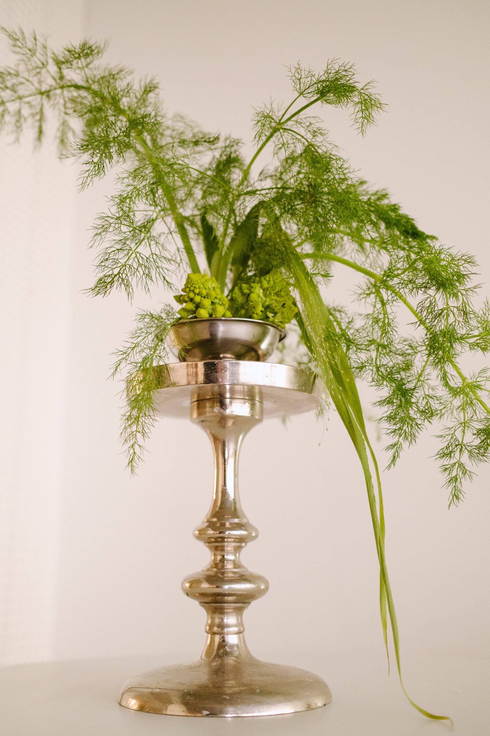 Feathery fennel fronds spilling from a tall silver candlestick stand.